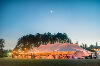 Burlap Elephant Wedding